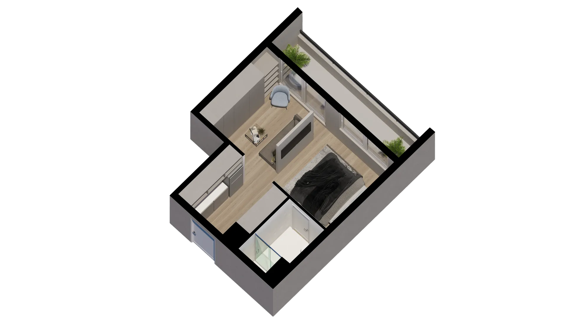 Plano C2